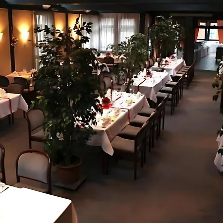 Parkhotel Goldlinde 보덴웨르데르